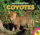 Jordan McGill - Coyotes, With Code