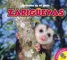 Jordan McGill - Zarigueyas, With Code