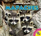 Jordan McGill - Mapaches, With Code