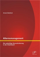Ursula Gündisch - Alternsmanagement: Die zukünftige Herausforderung in der Arbeitswelt