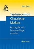 Petra Kamb - Taschen-Lexikon Chinesische Medizin