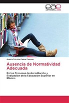 Amalia Patricia Cobos Campos - Ausencia de Normatividad Adecuada