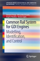 Alessandr di Gaeta, Alessandro Di Gaeta, Giovann Fiengo, Giovanni Fiengo, Veniero Giglio, Umberto Montanaro... - Common Rail System for GDI Engines