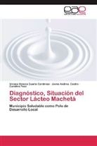 Jaime Andr Castro, Jaime Andres Castro, Viviana Ximena Duarte Cardenas, Carolina Paez - Diagnóstico, Situación del Sector Lácteo Machetá