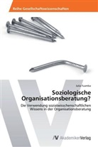 Julia Fuamba - Soziologische Organisationsberatung?