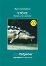 Martin Hochleithner - STÖRE (Acipenseriformes)