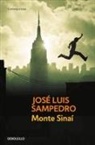 José Luis Sampedro - Monte Sinaí