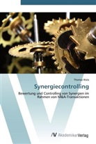 Thomas Wala - Synergiecontrolling