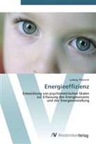 Ludwig Piskernik - Energieeffizienz
