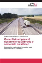 Benjamín Eduardo Saavedra Núñez Del Arco - Conectividad para el desarrollo equilibrado y sostenido en México