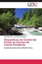 María Alejandra Daziano, Hugo Roge Paz, Hugo Roger Paz - Dispositivos de Control de Fondo en Cauces de Fuerte Pendiente
