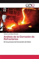 Vanesa Lucia Bazan Brizuela - Análisis de la Corrosión de Refractarios