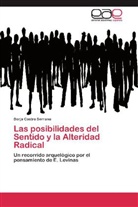 Borja Castro Serrano - Las posibilidades del Sentido y la Alteridad Radical