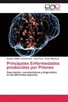 Gustavo Adolf Farías Roldán, Gustavo Adolfo Farías Roldán, Machuca, Alvaro Machuca, Jos Pérez, José Pérez - Principales Enfermedades producidas por Priones
