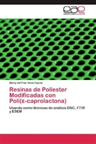 Dinny del Pilar Nava Espina - Resinas de Poliester Modificadas con Poli( -caprolactona)