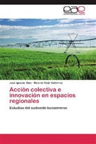 José Ignaci Diez, José Ignacio Diez, Ricardo Raúl Gutiérrez - Acción colectiva e innovación en espacios regionales