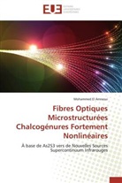 Mohammed El Amraoui, El amraoui-m - Fibres optiques microstructurees
