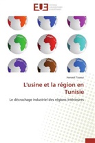 Hamadi Tizaoui, Tizaoui-h - L usine et la region en tunisie