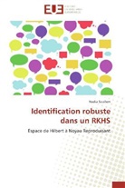 Nadia Souilem, Souilem-n - Identification robuste dans un rkhs