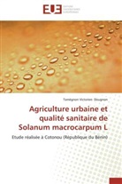 Tamègnon Victorien Dougnon, Dougnon-T - Agriculture urbaine et qualite