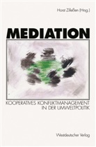 Hors Zillessen, Horst Zillessen - Mediation
