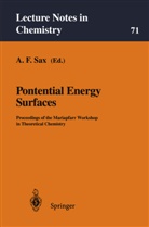 Alexande F Sax, Alexander F Sax, Alexander F. Sax - Potential Energy Surfaces