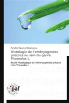 Ndoutoumou-p, Pamphile Nguema Ndoutoumou - Histologie de l embryogenese