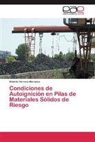 Alberto Herrera Morueco - Condiciones de Autoignición en Pilas de Materiales Sólidos de Riesgo