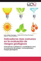 Tomas Jaci Chuy Rodriguez, Tomas Jacinto Chuy Rodriguez, Libe Galbán Rodríguez, Liber Galbán Rodríguez, Ingrid N. Vidaud Quintana - Indicadores mas comunes en la evaluación de riesgos geológicos