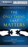 Neale Donald Walsch, Neale Donald Walsch - The Only Thing That Matters (Audio book)