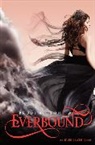 Brodi Ashton - Everbound