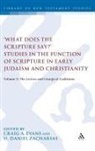 Craig A Evans, Craig A. (EDT)/ Zacharias Evans, H Daniel Zacharias, H. Daniel Zacharias, Craig A. Evans, H. Daniel Zacharias... - What Does Scripture Say Studies in Function of Scripture in Early