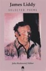 James Liddy, James/ Redmond Liddy, John Redmond - Selected Poems