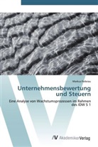 Markus Federau - Unternehmensbewertung und Steuern