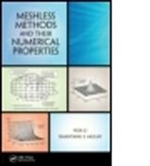 Hua Li, Hua Mulay Li, LI HUA MULAY SHANTANU S, Shantanu S Mulay, Shantanu S. Mulay, Mulay Shantanu S. - Meshless Methods and Their Numerical Properties