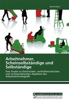 Bernd Hesse - Arbeitnehmer, Scheinselbständige und Selbständige