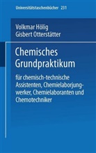 Hölig, V Hölig, V. Hölig, Volkmar Hölig, G Otterstätter, G. Otterstätter... - Chemisches Grundpraktikum