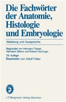R Herrlinger, Stieve, H Stieve, Triepel, H Triepel, A. Faller - Die Fachwörter der Anatomie, Histologie und Embryologie