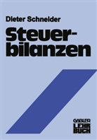 Dieter Schneider - Steuerbilanzen