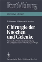 G Hierholzer, G. Hierholzer, Günther Hierholzer, Kaltwasser, B Kaltwasser, B. Kaltwasser... - Chirurgie der Knochen und Gelenke
