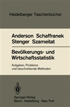 Anderson, O Anderson, O. Anderson, Schaffranek, M Schaffranek, M. Schaffranek... - Bevölkerungs- und Wirtschaftsstatistik