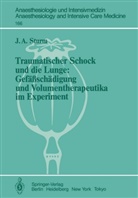 J A Sturm, J. A. Sturm, Johannes A. Sturm - Traumatischer Schock und die Lunge