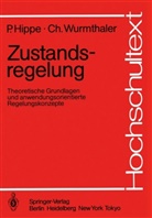 Pete Hippe, Peter Hippe, Christoph Wurmthaler - Zustandsregelung