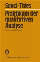 S Souci, S W Souci, S. W. Souci, Siegfried W. Souci, Heinrich Thies - Praktikum der qualitativen Analyse