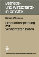 Norbert Wittemann - Produktionsplanung mit verdichteten Daten