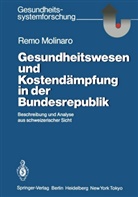 Remo Molinaro - Gesundheitswesen und Kostendämpfung in der Bundesrepublik