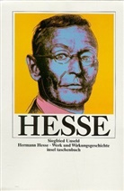 Hermann Hesse, Volker Michels - Hermann Hesse, sein Leben in Bildern. Hermann Hesse Werk und Wirkungsgeschichte, 2 Bde