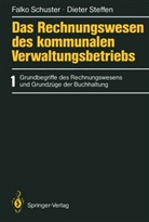 Falk Schuster, Falko Schuster, Dieter Steffen - Das Rechnungswesen des kommunalen Verwaltungsbetriebs - 1: Das Rechnungswesen des kommunalen Verwaltungsbetriebs