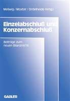 Winfrie Mellwig, Winfried Mellwig - Einzelabschluß und Konzernabschluß