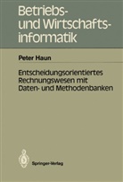 Peter Haun - Entscheidungsorientiertes Rechnungswesen mit Datenbanken und Methodenbanken